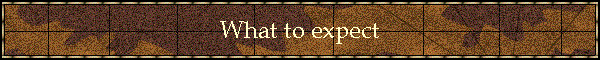 What to expect