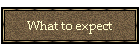 What to expect