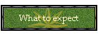 What to expect